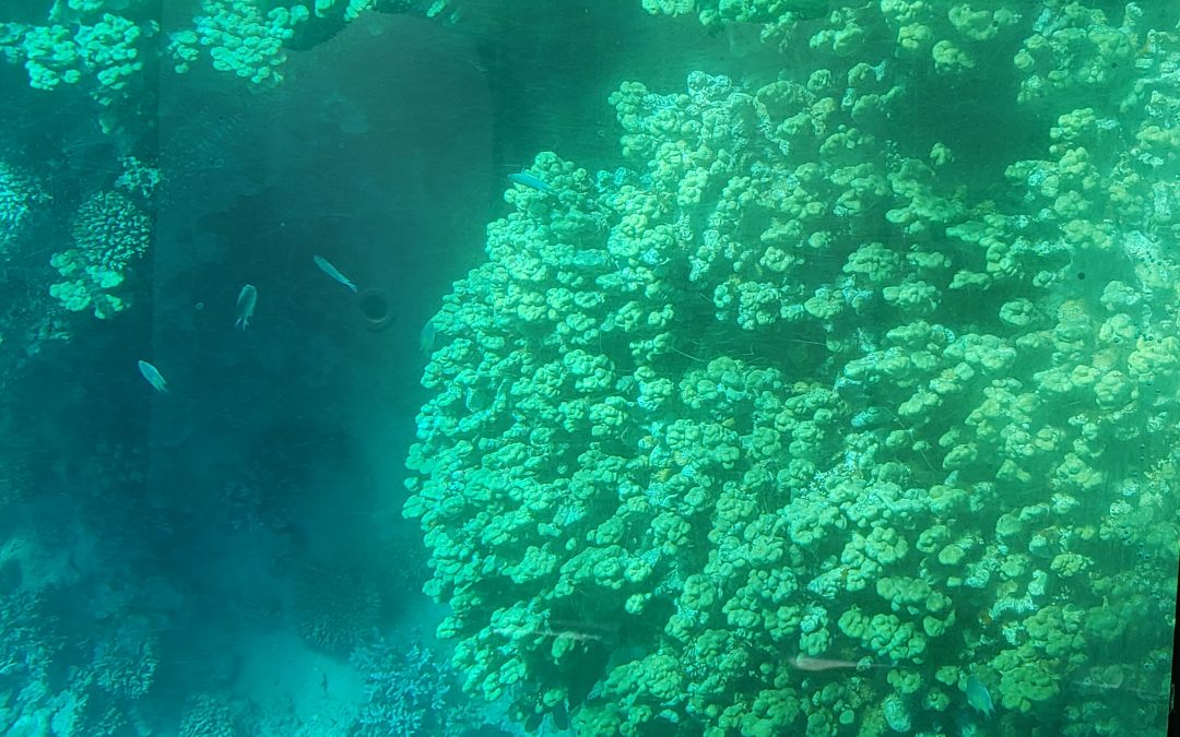 AQABA/ JORDAN